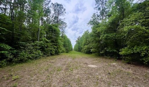 Photo #35 of SOLD property in Off Hwy 903, Snow Hill, NC 115.0 acres