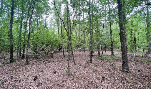 Photo #36 of SOLD property in Off Hwy 903, Snow Hill, NC 115.0 acres