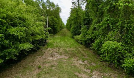 Photo #38 of SOLD property in Off Hwy 903, Snow Hill, NC 115.0 acres
