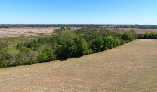 Photo #11 of Off East Main Street Extension, Bennettsville, SC 40.1 acres