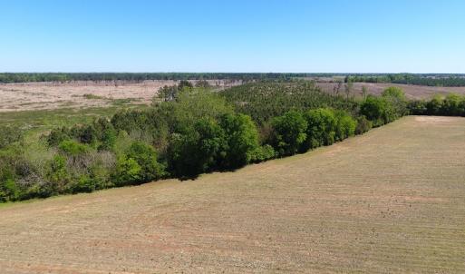 Photo #11 of Off East Main Street Extension, Bennettsville, SC 40.1 acres