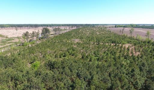 Photo #12 of Off East Main Street Extension, Bennettsville, SC 40.1 acres