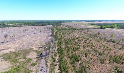 Photo #13 of Off East Main Street Extension, Bennettsville, SC 40.1 acres