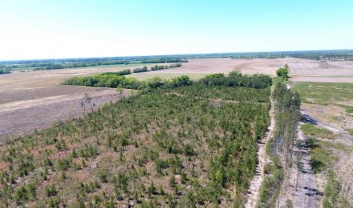 Photo #14 of Off East Main Street Extension, Bennettsville, SC 40.1 acres