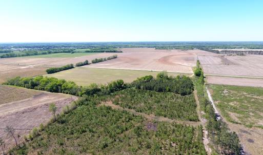 Photo #15 of Off East Main Street Extension, Bennettsville, SC 40.1 acres