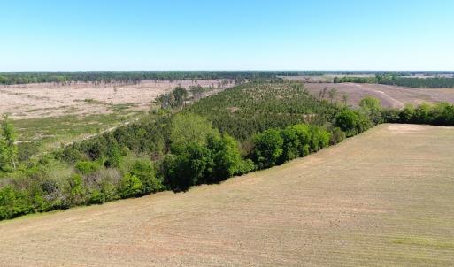 Photo #3 of Off East Main Street Extension, Bennettsville, SC 45.0 acres