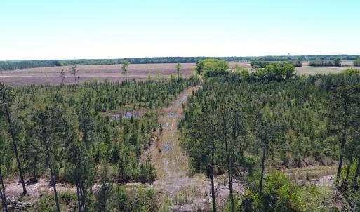 Photo #6 of Off East Main Street Extension, Bennettsville, SC 45.0 acres