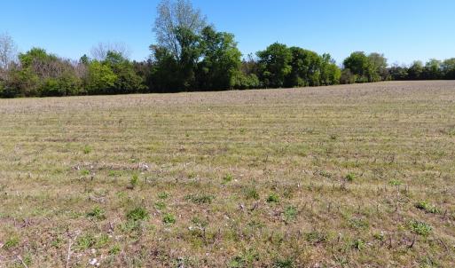 Photo #8 of Off East Main Street Extension, Bennettsville, SC 45.0 acres