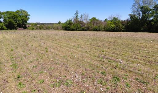 Photo #9 of Off East Main Street Extension, Bennettsville, SC 40.1 acres