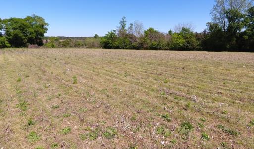 Photo #9 of Off East Main Street Extension, Bennettsville, SC 45.0 acres