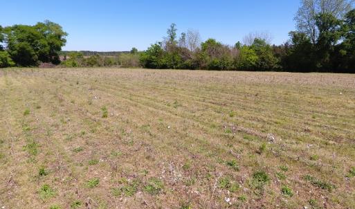 Photo #9 of Off East Main Street Extension, Bennettsville, SC 40.1 acres