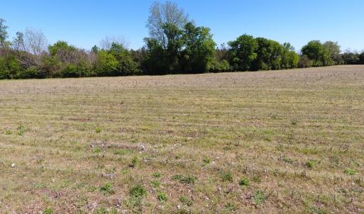 Photo #10 of Off East Main Street Extension, Bennettsville, SC 45.0 acres