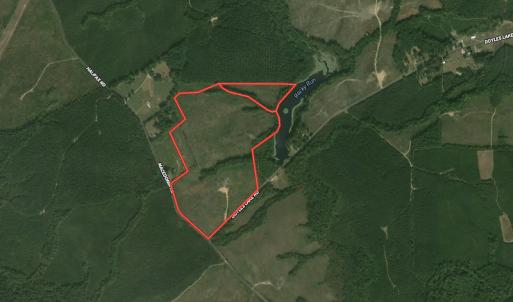 Photo #1 of SOLD property in Off Doyles Lake Rd, Emporia, VA 74.3 acres