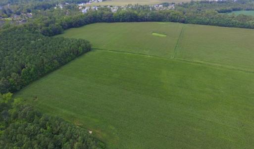 Photo #2 of SOLD property in Off Dailey Road, Camden, NC 89.7 acres