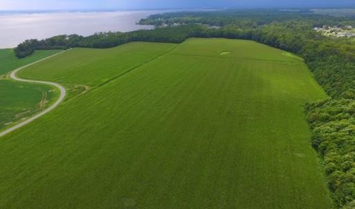 Photo #3 of SOLD property in Off Dailey Road, Camden, NC 89.7 acres