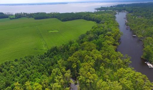 Photo #4 of SOLD property in Off Dailey Road, Camden, NC 89.7 acres