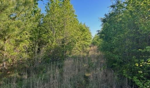 Photo #13 of Off Hwy 11 , Rose Hill, NC 12.3 acres