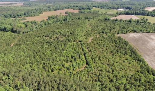 Photo #2 of Off Hwy 11 , Rose Hill, NC 12.3 acres