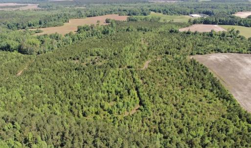 Photo #2 of Off Hwy 11 , Rose Hill, NC 12.3 acres