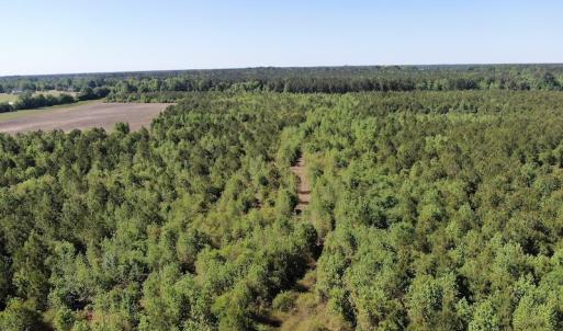 Photo #5 of Off Hwy 11 , Rose Hill, NC 12.3 acres