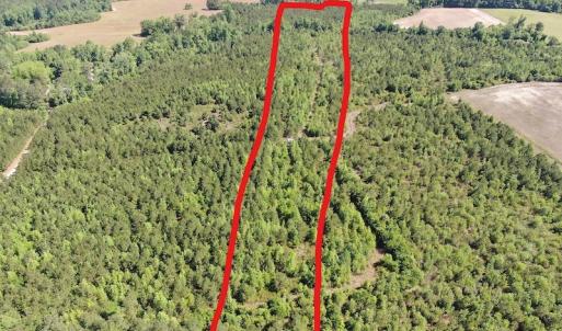 Photo #6 of Off Hwy 11 , Rose Hill, NC 12.3 acres