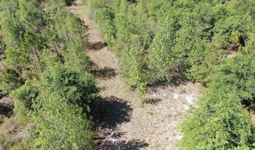 Photo #4 of Off Hwy 11 , Rose Hill, NC 12.3 acres