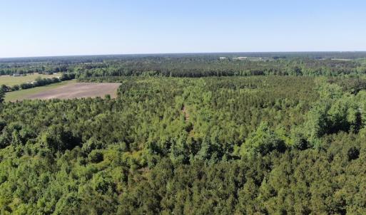 Photo #3 of Off Hwy 11 , Rose Hill, NC 12.3 acres