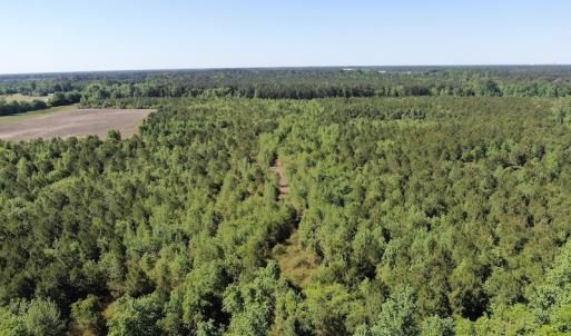 Photo #7 of Off Hwy 11 , Rose Hill, NC 12.3 acres