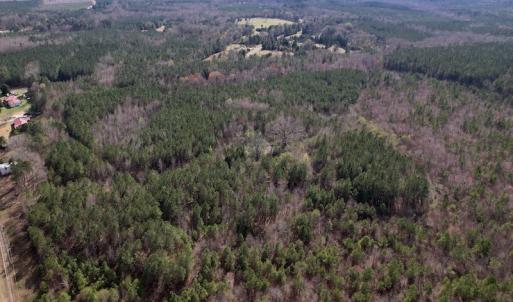 Photo #14 of SOLD property in Off Highway 58, Warrenton , NC 58.8 acres