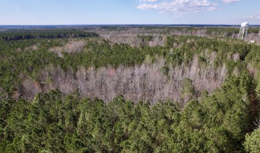 Photo #20 of SOLD property in Off Highway 58, Warrenton , NC 58.8 acres