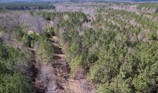 Photo #21 of SOLD property in Off Highway 58, Warrenton , NC 58.8 acres