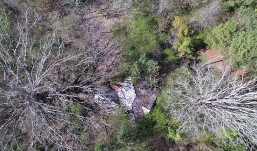 Photo #22 of Off Highway 58, Warrenton , NC 58.8 acres