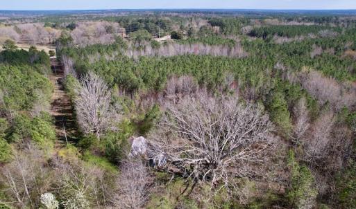 Photo #26 of SOLD property in Off Highway 58, Warrenton , NC 58.8 acres