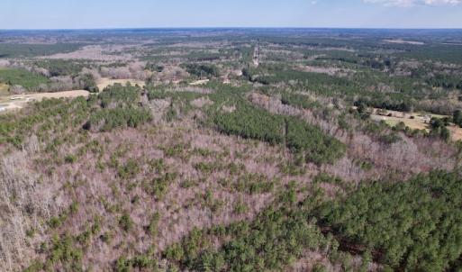 Photo #9 of SOLD property in Off Highway 58, Warrenton , NC 58.8 acres