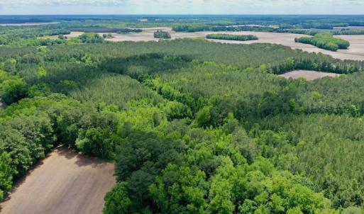 Photo #2 of SOLD property in Off Wilcox Lane, Vanceboro, NC 57.8 acres