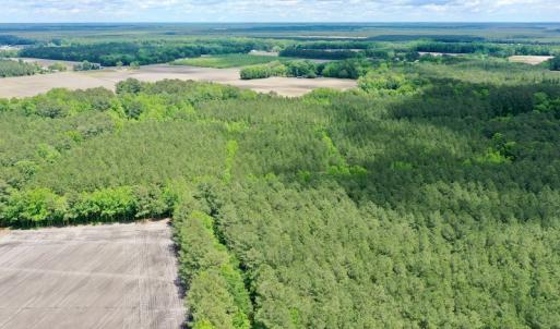 Photo #11 of SOLD property in Off Wilcox Lane, Vanceboro, NC 57.8 acres