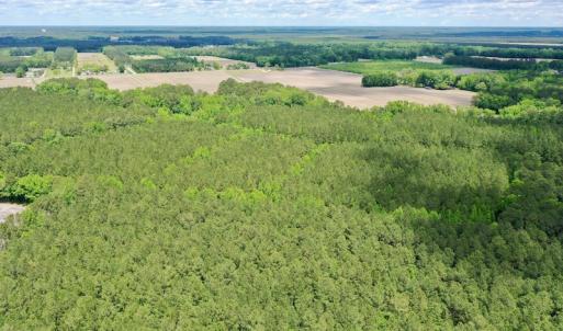 Photo #13 of SOLD property in Off Wilcox Lane, Vanceboro, NC 57.8 acres