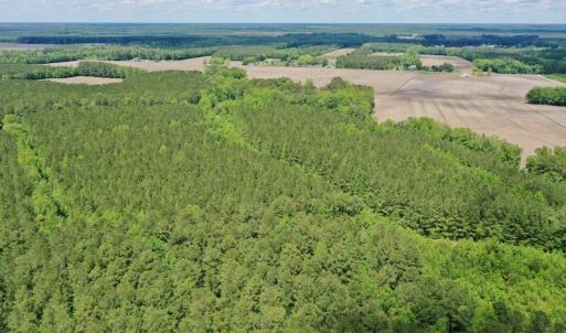 Photo #15 of SOLD property in Off Wilcox Lane, Vanceboro, NC 57.8 acres