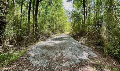 Photo #3 of SOLD property in Off Wilcox Lane, Vanceboro, NC 57.8 acres