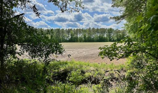 Photo #22 of SOLD property in Off Wilcox Lane, Vanceboro, NC 57.8 acres