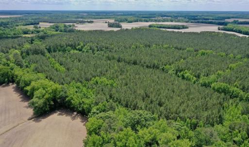 Photo #23 of SOLD property in Off Wilcox Lane, Vanceboro, NC 57.8 acres