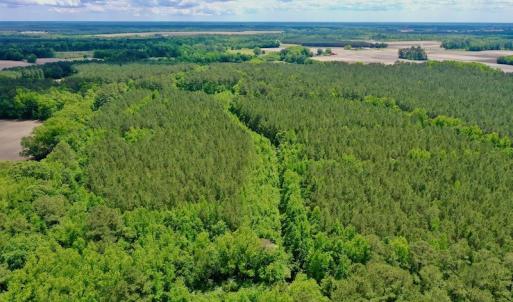 Photo #25 of SOLD property in Off Wilcox Lane, Vanceboro, NC 57.8 acres