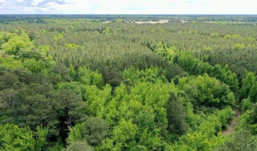 Photo #28 of SOLD property in Off Wilcox Lane, Vanceboro, NC 57.8 acres