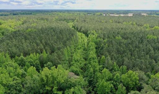 Photo #30 of SOLD property in Off Wilcox Lane, Vanceboro, NC 57.8 acres