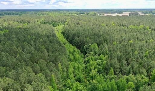 Photo #32 of SOLD property in Off Wilcox Lane, Vanceboro, NC 57.8 acres