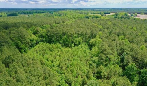 Photo #36 of SOLD property in Off Wilcox Lane, Vanceboro, NC 57.8 acres