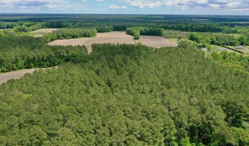 Photo #38 of SOLD property in Off Wilcox Lane, Vanceboro, NC 57.8 acres