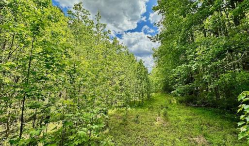 Photo #39 of SOLD property in Off Wilcox Lane, Vanceboro, NC 57.8 acres
