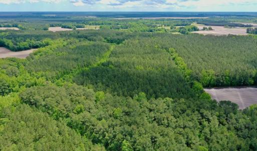 Photo #6 of SOLD property in Off Wilcox Lane, Vanceboro, NC 57.8 acres
