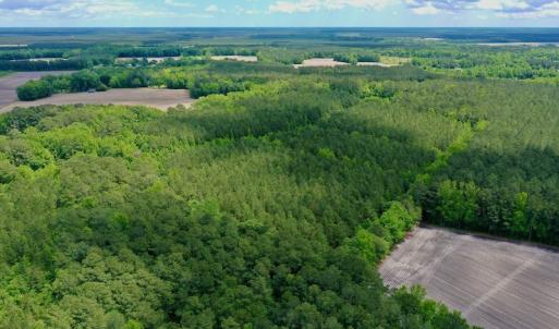 Photo #8 of SOLD property in Off Wilcox Lane, Vanceboro, NC 57.8 acres
